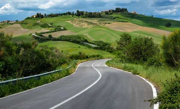 Green Rolling Hills Crete Senesi Tuscany Siena Italy — стоковое фото