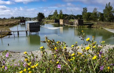 Fransa 'nın batısındaki Pays de la Loire bölgesindeki Vende departmanındaki La Barre de Monts' dan balıkçı karidesleri.