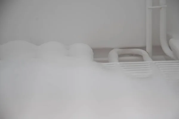 Морозильник Полностью Ледяными Охлаждающими Палочками Глубокая Заморозка Пожиратель Энергии — стоковое фото