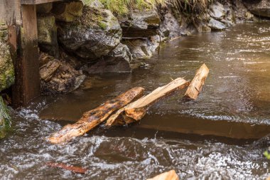 Schwarzenberg yüzen kanalı Avusturya 'da bir derede sürükleniyor.