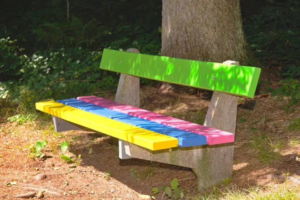 五彩缤纷的木制长椅在森林里的远足小径上作为休息的地方 — 图库照片