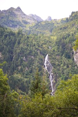 Styrian Gölü Constance 'a doğru bir kaya yüzeyi ve orman boyunca şelale - Avusturya