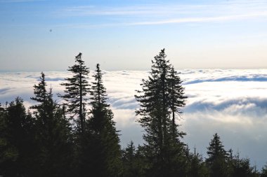 Sis örtüsünün üzerindeki harika manzara - sisin kenarındaki panorama