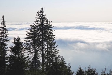 Kalın bir sis örtüsünün üzerindeki panorama