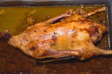 Kızarmış kaz Martin 'in kazları ya da Noel kazları şenlik menüsü için fırında hazır.