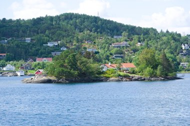 Norveç 'te Sognefjord' un huzurlu kıyı manzarasında çok sayıda ev