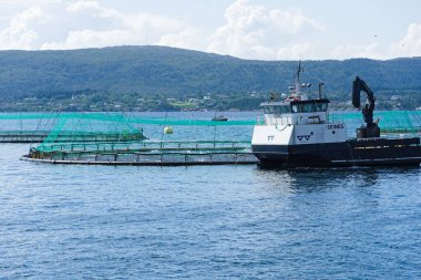Ağla çevrili Norveç balık çiftliği - balık çiftliği somon üretimi, Kuzey Denizi