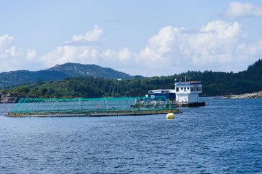 Norveç 'te balık çiftçiliği için ağ kafesleri - Balık çiftliği gıda üretimi