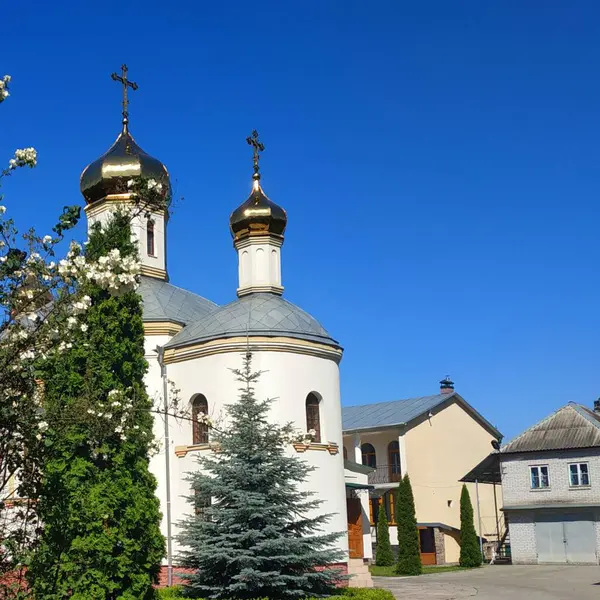 Nikolay, Ukrayna Kilisesi