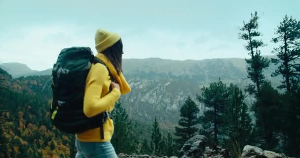 Donna Maglione Giallo Con Zaino Escursionista Piedi Sul Sentiero Montagna — Video Stock