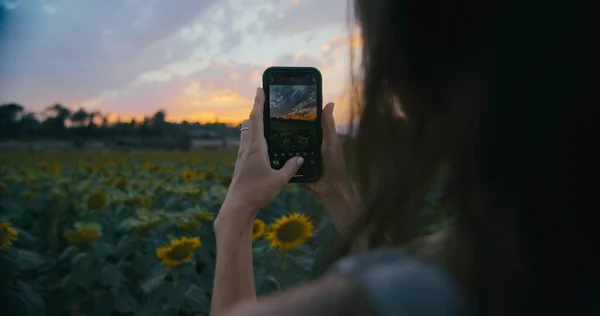Vrouw Zomervakantie Met Smartphone Mobiele Telefoon Zonnebloemenweidelandschap Fotograferen Bij Zonsondergang — Stockfoto