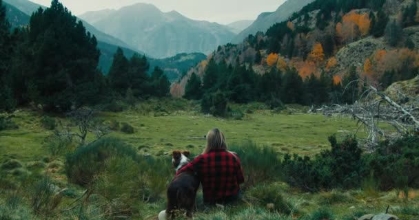 带着边境牧羊犬的女游客在度假时坐在那里欣赏史诗般的山景 周末带着宠物旅行的女人在美丽的景色下放松 — 图库视频影像