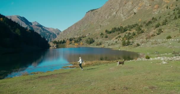陽気な女性旅行者が実行され 山の湖畔にボーダーコリー犬と遊ぶ 女は休暇旅行の冒険で国内犬と遊ぶ — ストック動画
