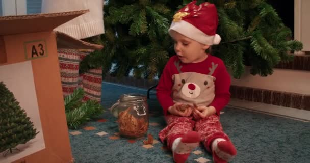 즐거운 아파트 바닥에 크리스마스 트리를 장식하는 어머니가 을축하 — 비디오