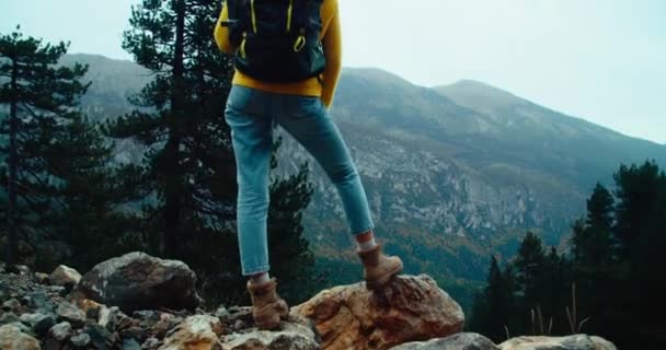 Backpacker Touriste Tiennent Sur Bord Montagne Profitant Beaux Paysages Naturels — Video