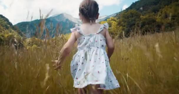 Joyeux Tout Petit Fille Mignonne Courir Sur Prairie Montagne Pendant — Video