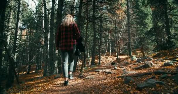 Sonbahar Tatili Gezisinde Ormanda Yürüyen Gezgin Bir Kadının Ağır Çekim — Stok video