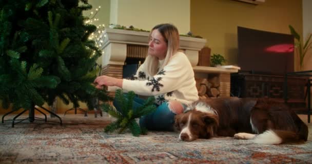 冬休みの犬のためのクリスマスツリーを準備暖炉の前の床に座っている満足した女性は彼女のボーダーコリーの横に床に横たわっています — ストック動画