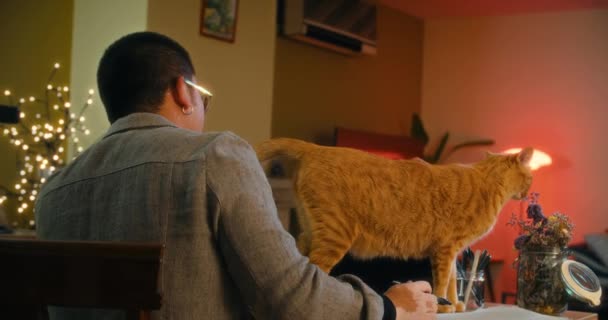 Freelancer Trabalhar Casa Usando Computador Noite Acariciando Gato Que Distraí — Vídeo de Stock