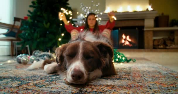 Hond Vloer Voor Open Haard Ongerichte Vrouw Versieren Kerstboom Achtergrond — Stockvideo