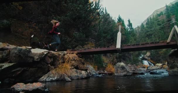 Женщина Дружелюбной Собакой Горных Путешествиях Пересекает Реку Мосту Замедленной Съемке — стоковое видео