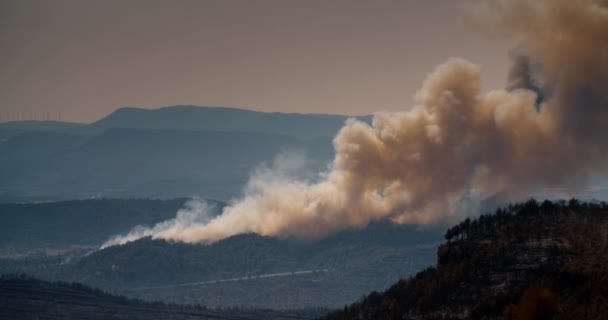 夏天野火在森林和山上造成浓烟 气候变化概念 — 图库视频影像