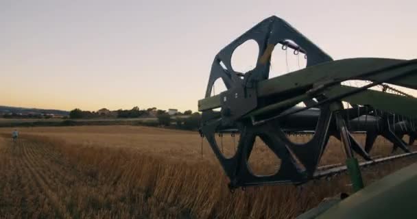 Szüretelő Kombinálni Roll Closeup Betakarítás Búza Mezőgazdasági Rét Naplementekor Vidéki — Stock videók