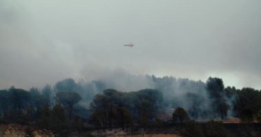 Yazın orman yangını. İtfaiyeci acil helikopteri yasak bölgede uçuyor.. 
