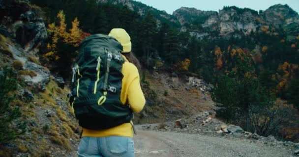 Turista Mujer Caminar Con Mochila Montaña Camino Aventura Otoño Temporada — Vídeo de stock