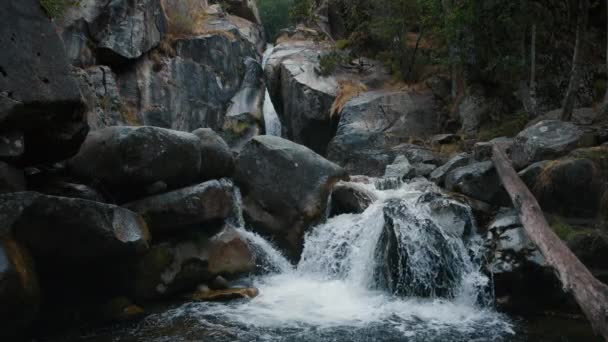 Энергия Текущей Воды Реке Горного Водопада Кристально Чистой Водой Выстрел — стоковое видео
