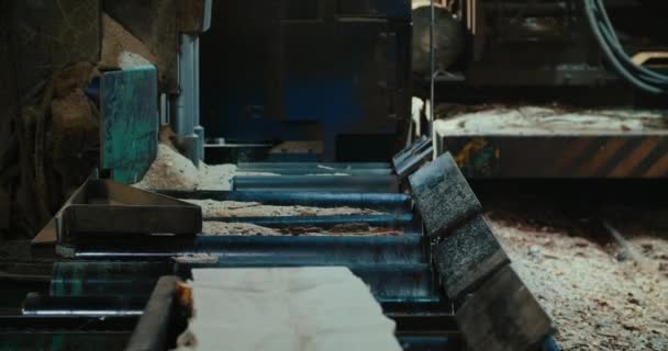 Pilařská Továrna Automatickou Pilou Řezání Dřeva Kmenové Desky Dřevozpracujícím Průmyslu — Stock video