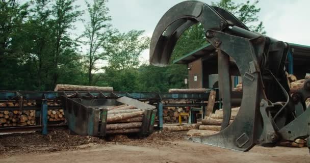 木材业分选输送带上松木树干移动 前置有原木抓斗牵引机 — 图库视频影像