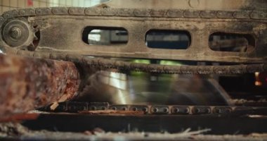 Kereste endüstrisindeki testere kesiminin yakın çekimi. Kütük keresteyle kesilmiş. 