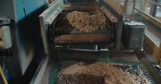 木材業界の廃棄物のリサイクルと再利用 コンベヤベルトのソート — ストック動画