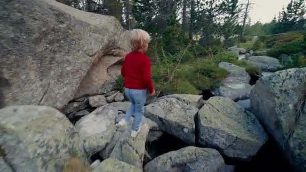 Dzieci Wakacyjnej Wycieczce Wspinają Się Skały Wzdłuż Górskiej Rzeki Dziecko — Wideo stockowe