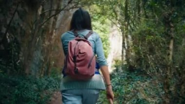 Turist gezintisi yapan sırt çantalı gezgin seyahat macerası sırasında dağ yolunda orman boyunca yürür. Güneşli bir günde tek başına tuzağa düşen bir kadın. Sağlıklı yaşam tarzı ve doğa ile bağlantı