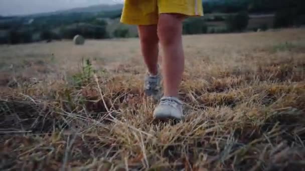 Niski Kąt Ujęcia Stóp Dzieci Chodzić Polu Rolniczym Zachód Słońca — Wideo stockowe