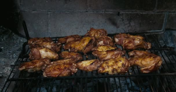 Kippenvleugels Poten Geroosterd Boven Een Kampvuur Natuurlijke Barbecue Houtskool Hout — Stockvideo