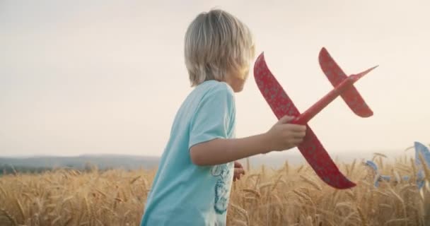Jeugd Vakantie Het Platteland Kind Jongen Lopen Landbouwtarwe Weide Met — Stockvideo