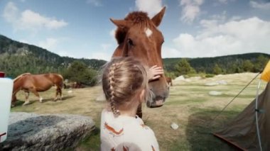 Dağ gezisinde kamp yapan bir kız çocuğu otlakta vahşi bir atı okşuyor. İnsanlar ve hayvanlar dostluk