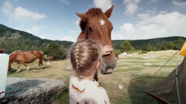 Dziecko Dziewczyna Kempingu Górskiej Podróży Głaskanie Dzikiego Konia Pastwisku Przyjaźń — Wideo stockowe