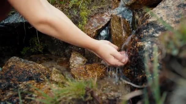 Barn Som Samlar Och Dricker Rent Vatten Fjällbäcken Bygga Händer — Stockvideo