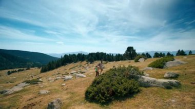 Anne ve çocuklar dağ yolunda yürüyorlar. Turist ailesi tatil macerasında tepeye tırmanıyor. Yolculukta anneleriyle birlikte çocuklar.. 