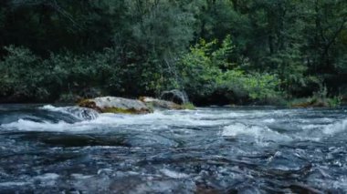 Dağ nehrinin hızla parlayan yeşil ormanın güzel görüntüsü. Yavaş çekimde geriye dönük manzara