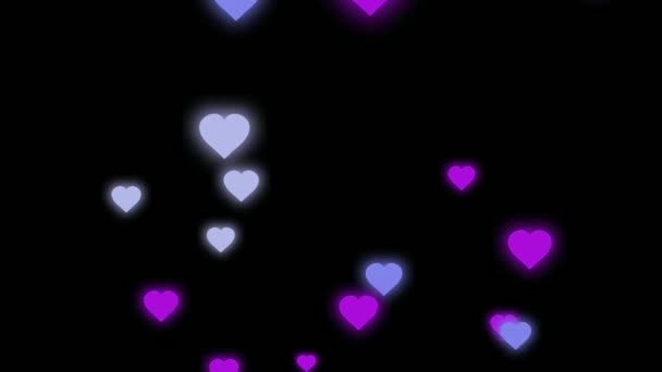 Animație Inimi Colorate Forma Izolat Plutind Pentru Șablon Ziua Îndrăgostiților — Videoclip de stoc