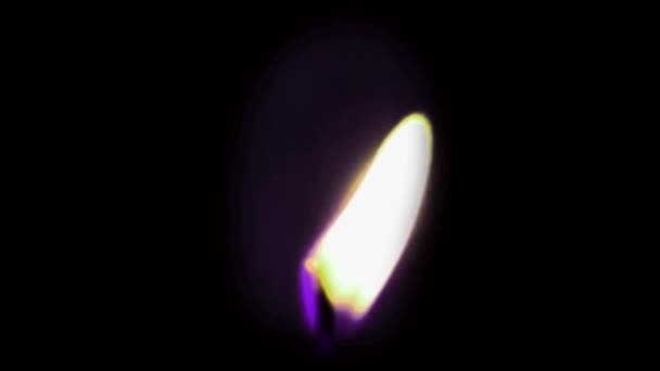 Aislamiento Llama Vela Púrpura Animación Pantalla Negra — Vídeo de stock