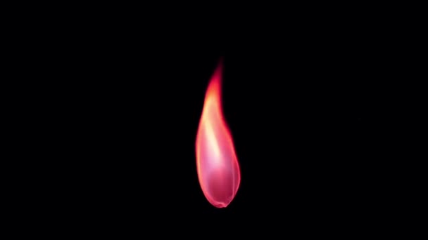 黑色荧幕上的动画红色烛焰隔离 — 图库视频影像