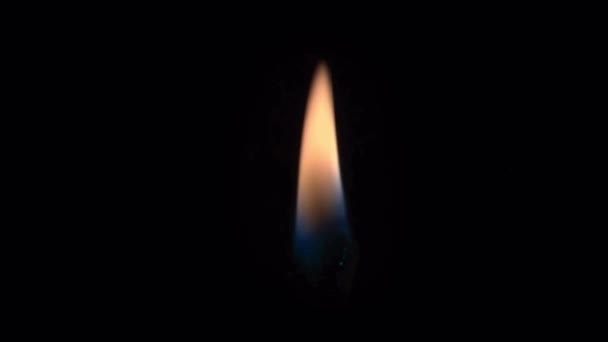 Animation Orangee Candle Flame Isolate Black Screen — Stock Video