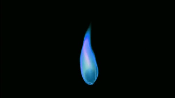 Animation Μπλε Κερί Φλόγα Απομονώσει Μαύρη Οθόνη — Αρχείο Βίντεο