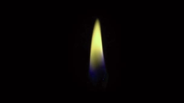 애니메이션 주황색 촛불검은 화면에서 — 비디오